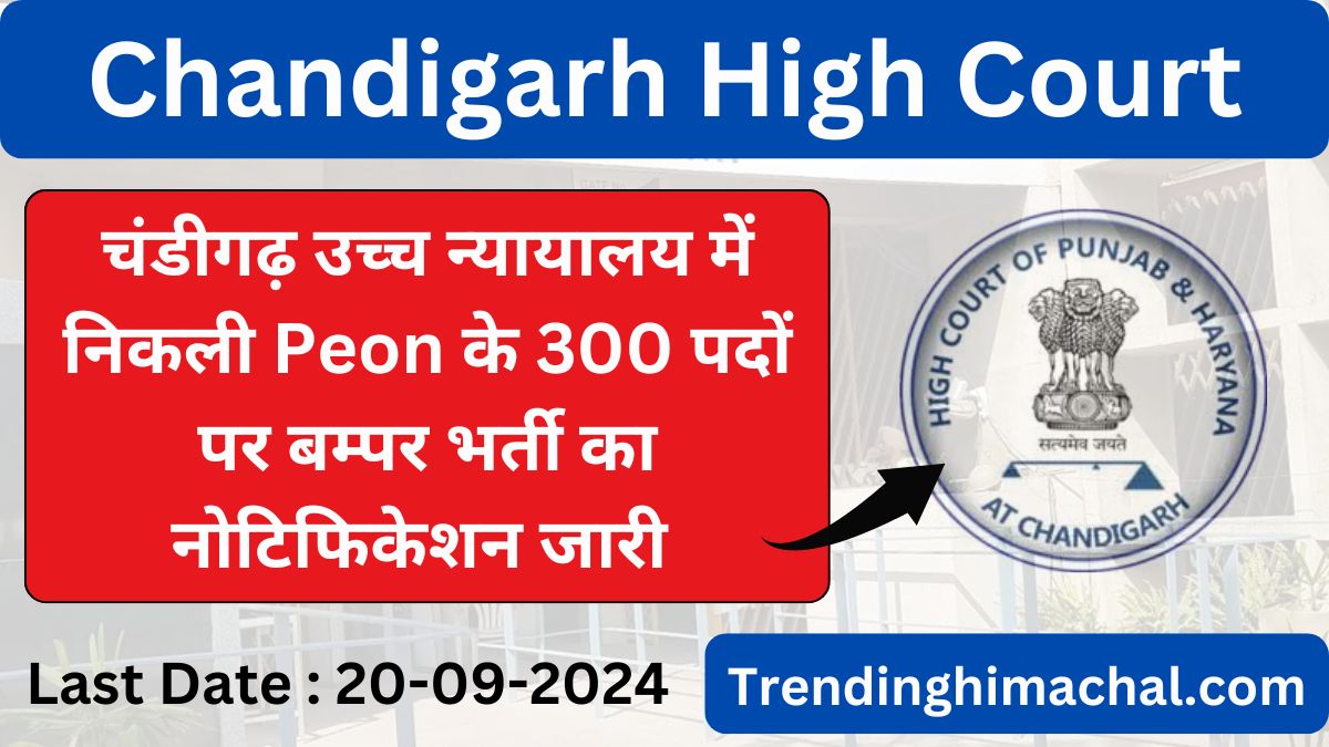 Chandigarh High Court Peon Recruitment 2024 (300 Posts) Apply Online