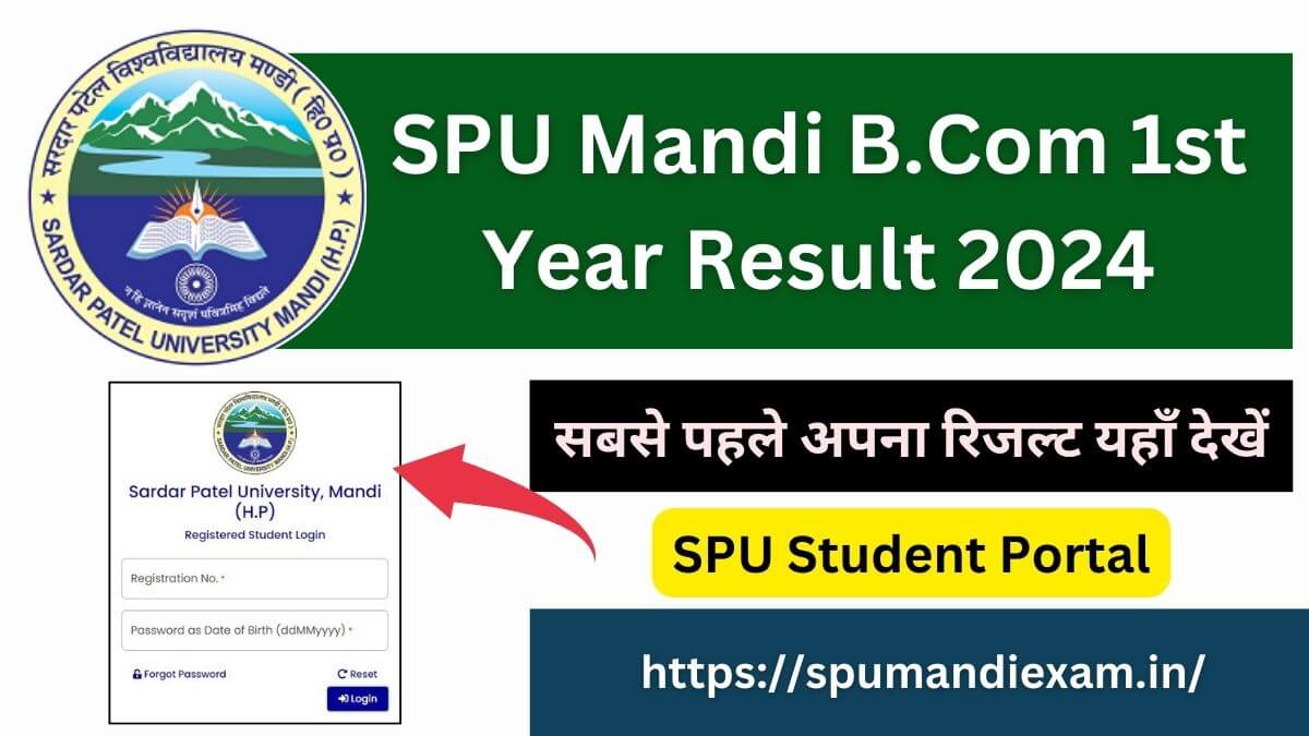 SPU Mandi B.Com 1st Year Result 2024 Download Marksheet @spumandi.ac.in