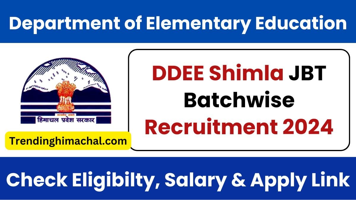 DDEE Shimla JBT Batchwise Recruitment 2024 Notification Out for 31 Posts