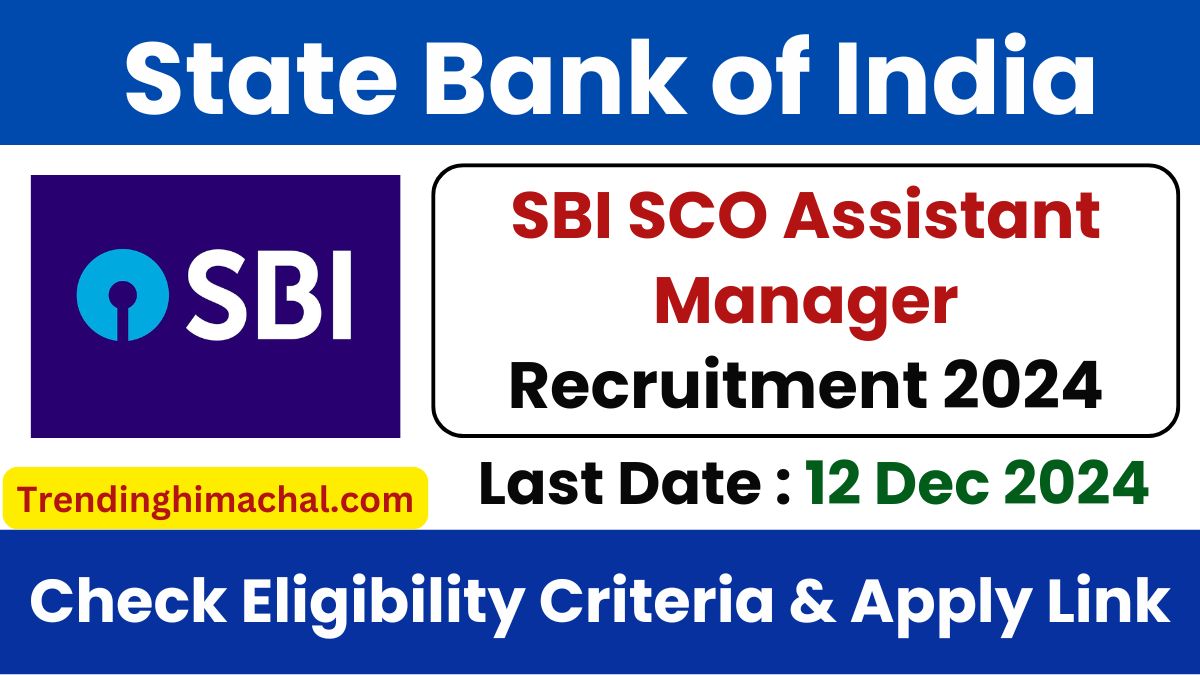 SBI SCO Assistant Manager Recruitment 2024 Apply Now for 169 Posts