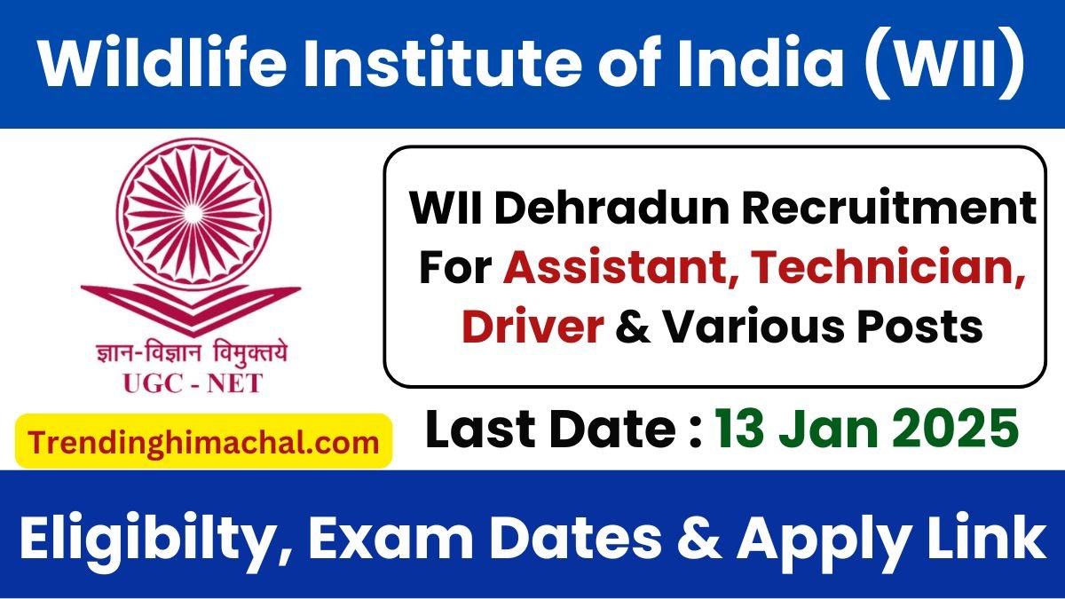 WII Dehradun Recruitment 2024 Notification Out for Various Posts, Apply Now